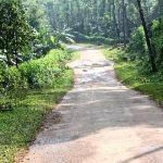 A Premium Homestay In Coorg, Coorg 4
